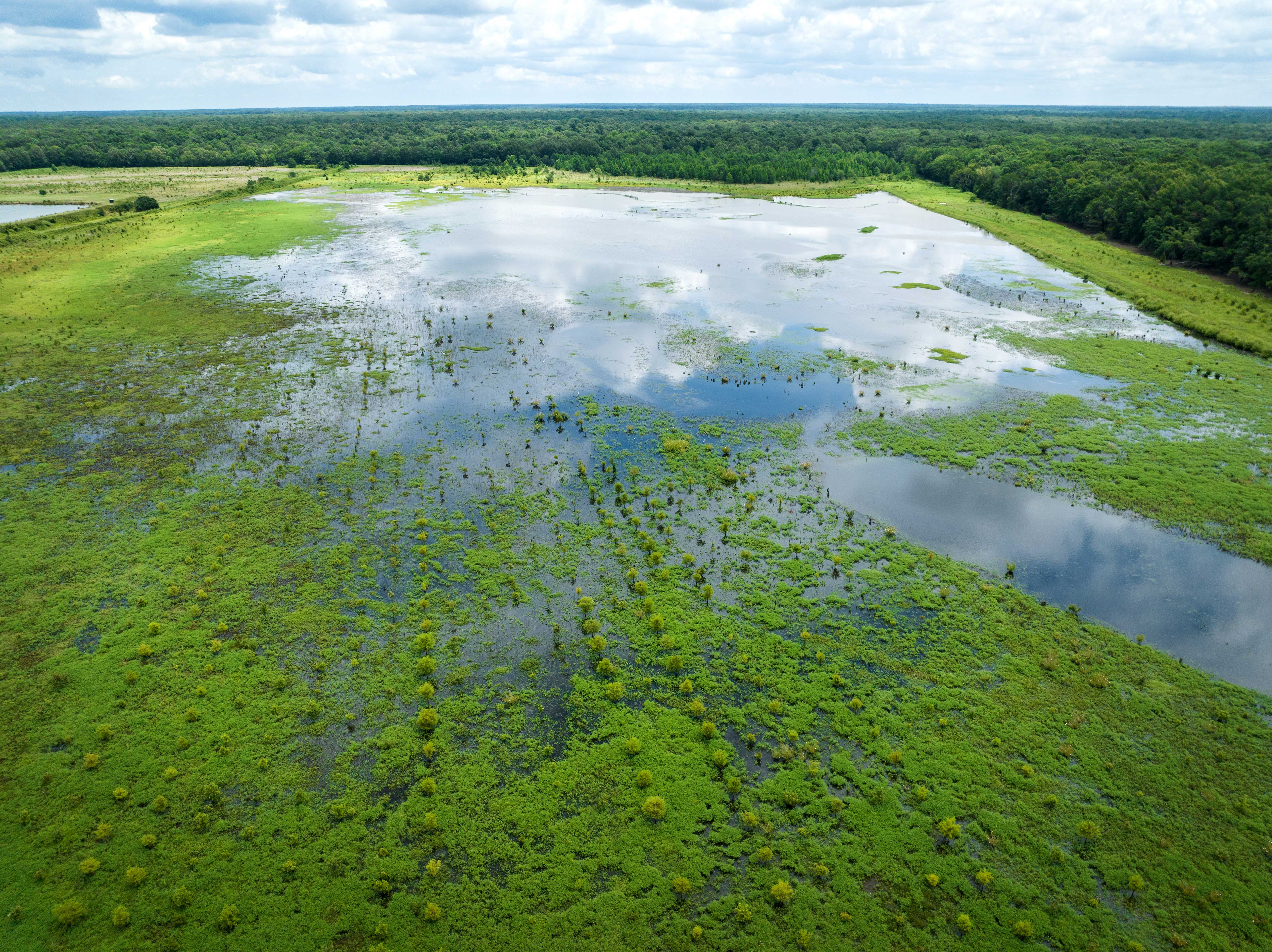 flooding in an area of unproductive farmland.