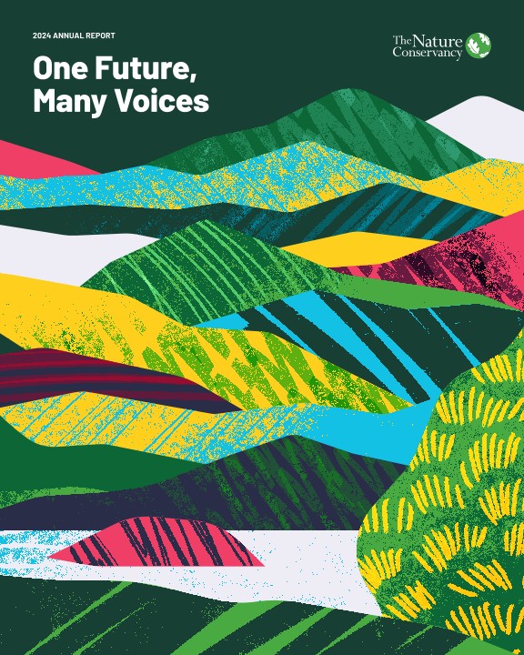 A graphic of the TNC 2024 annual report.