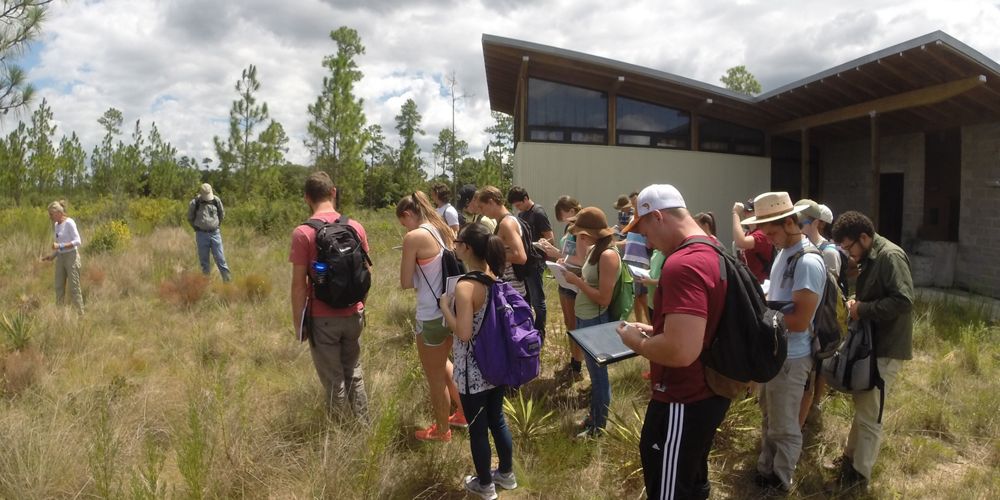 Students writing notes in an outdoor field setting.