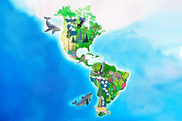 A map depicts North America and South America with various animals representing the areas they live.