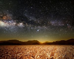 Looking up from a field of wheat leading up to rocky mountains looking up to the milky way.