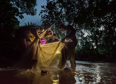 Surrounded by lush green vegetation along the river ban