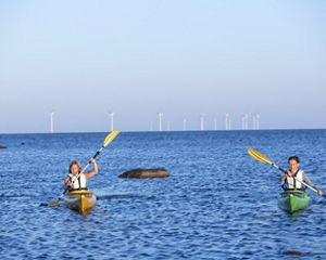 People kayaking in the ocean with wind turbines behind them. 