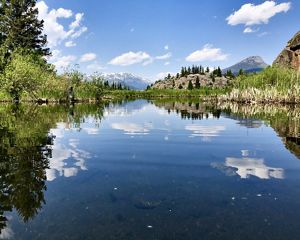 Water rushes over rocks in a wooded Wyoming stream.