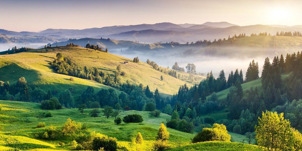 Fog settles in the valleys formed by green rolling hills in India.