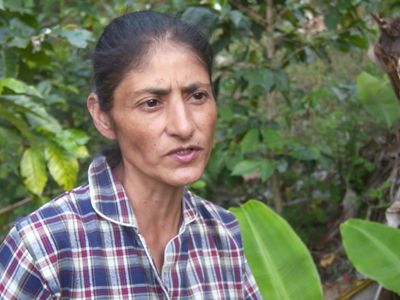 More than 28 million farming households around the world could see potential improvements in crop production if source water protection was implemented throughout watersheds.