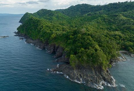 Aerial view of steep cliffs rising up from the ocean. The summits are covered in thick, green forests.