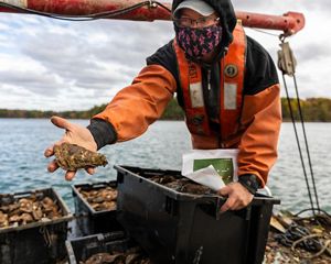 A person stands on the deck of a boat surrounded by containers filled with oysters. They hold a single oyster in their outstretched hand.