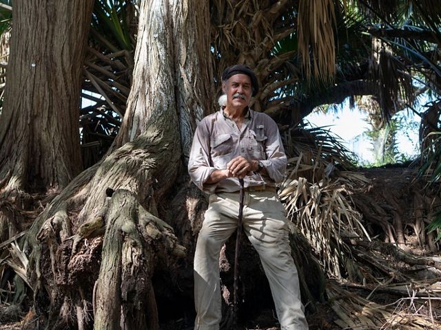 A man sits on the giant roots of a wide tree.