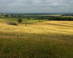 Sweeping view of farmlands in Nebraska under cloudy sky.