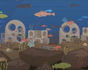 An animation of artificial reefs and fish. 