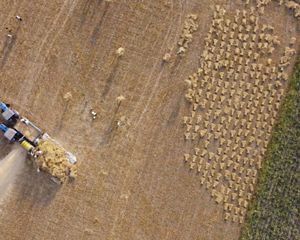 Aerial view of wheat threshing at Rajesh Kumar’s farm in Karnal region, Haryana.
