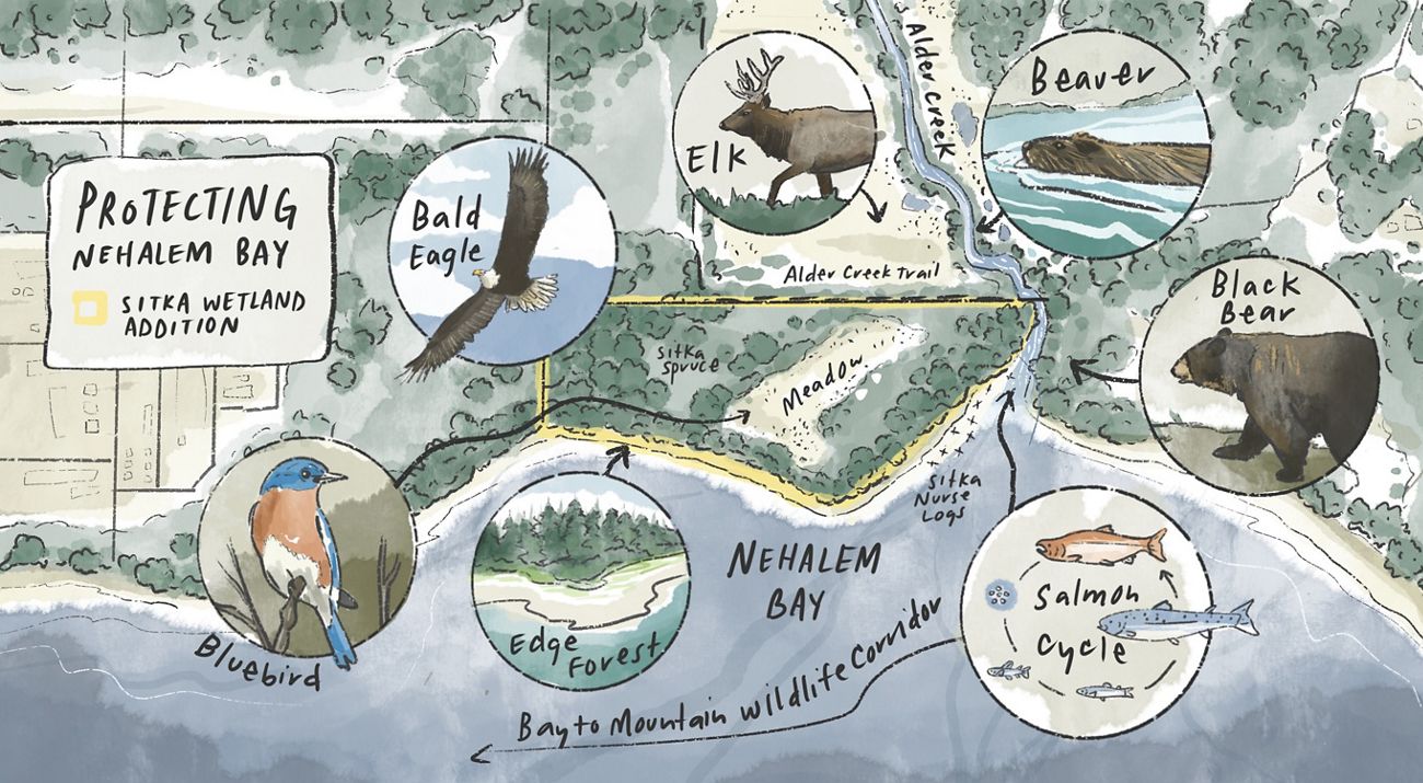 A map illustration features animals. 