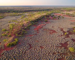 Aerial view of a vast landscape of red earth and scrubby grasses.