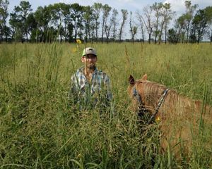 A man and a horse stand in a field with grasses towering over their heads.