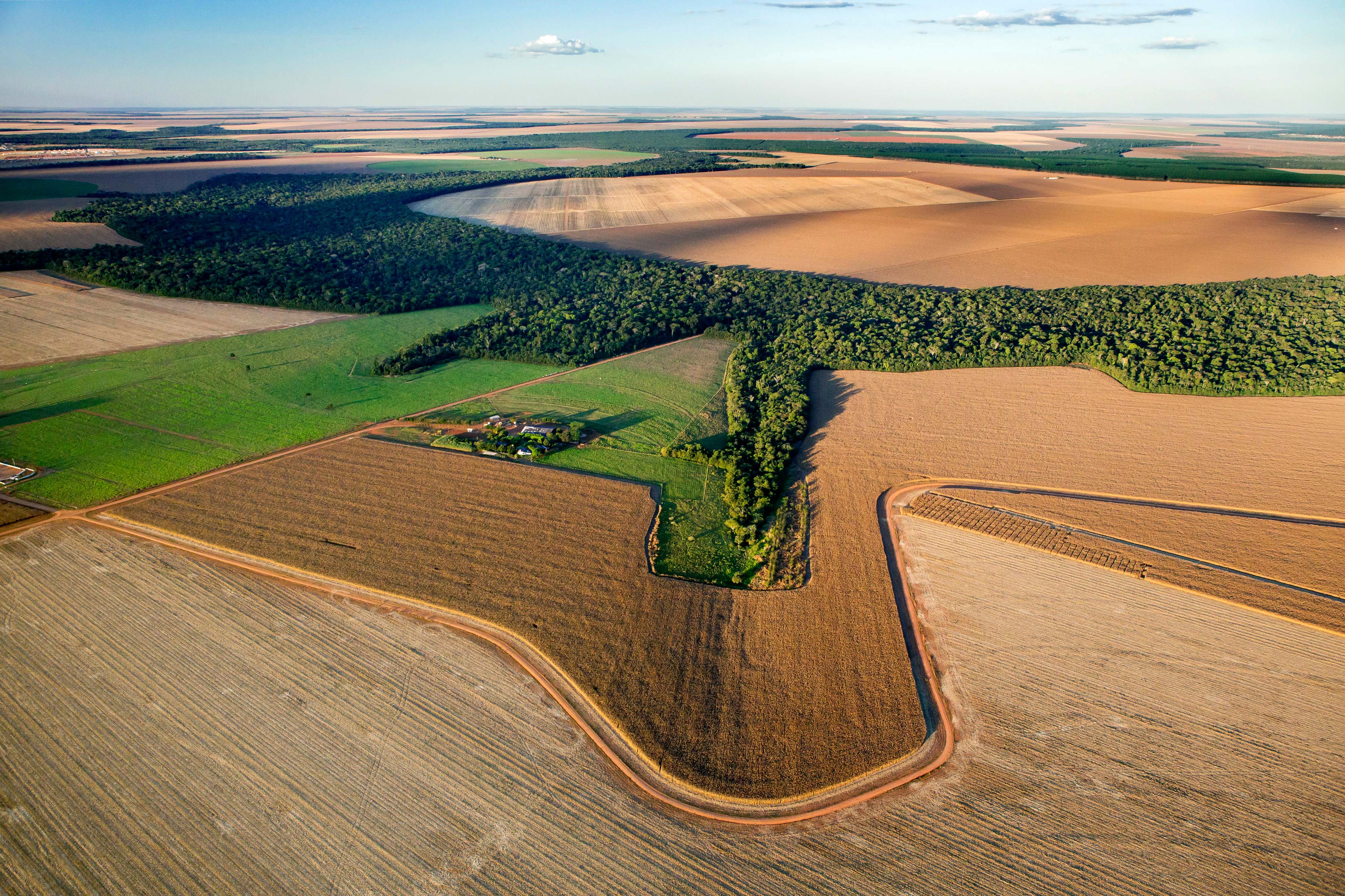 Aerial view of a vast landscape of agricultural fields.