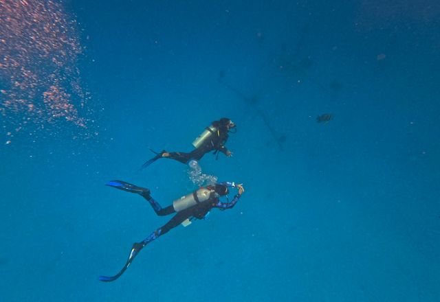 Divers underwater with fish.