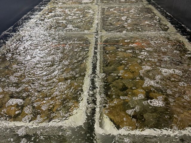 open tanks filled with rocks covered in water.