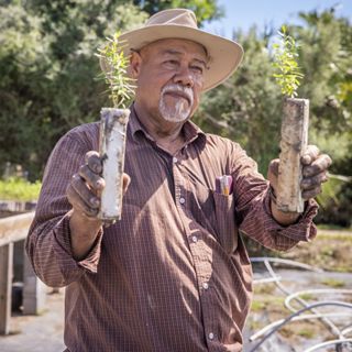 Marcos Ruiz holds up two Montezuma cypress seedlings.