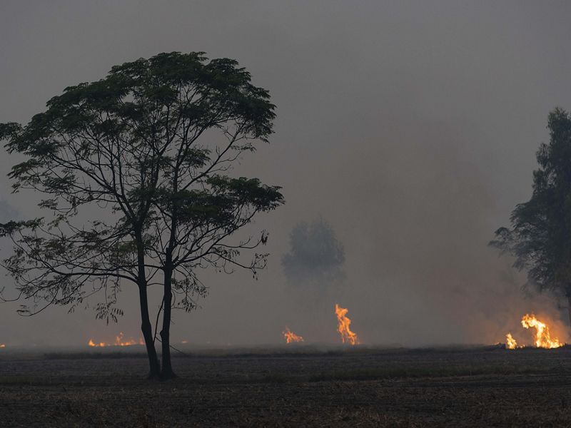 Large orange flames rise from burning rice fields as a dark dense smog blocks out visibility and light.