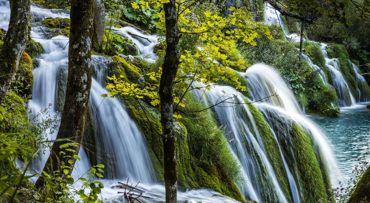 Waterfall cascading through a lush forest in Croatia.