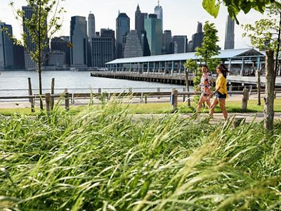 Brooklyn Bridge Park looking towards Manhattan.