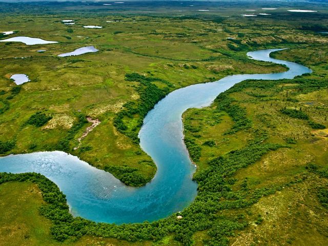 The gravel bottoms and braided channels of rivers leading into Iliamna Lake in southwest Alaska are ideal for the many king salmon that spawn in the lake's waters.