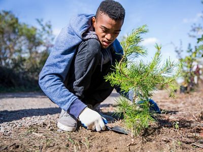 A young person planting a tree.