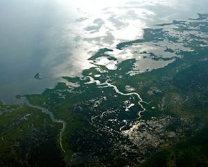 Imagen del logo de Planeta Bala