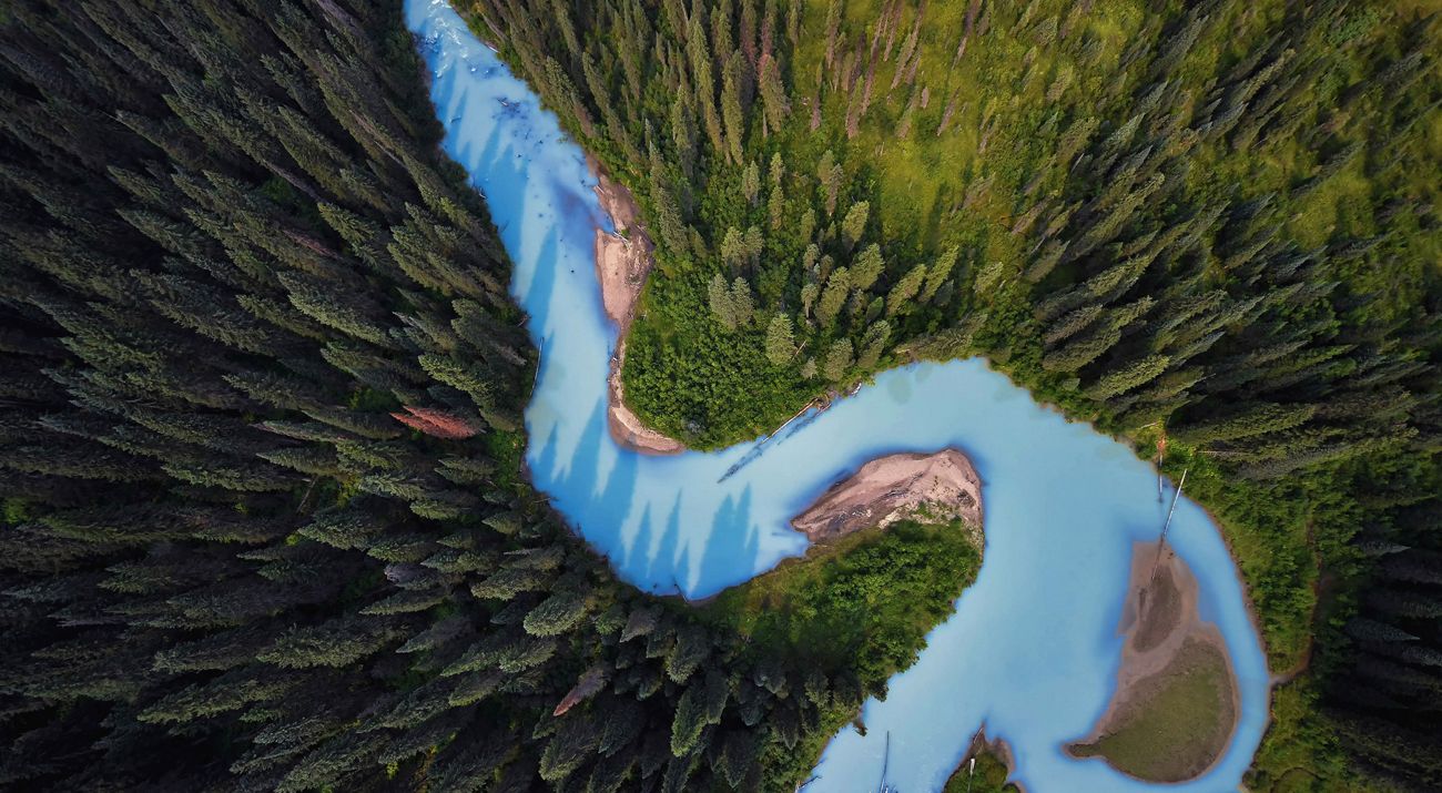 Aerial view of sky blue-colored river winding through dense forest.