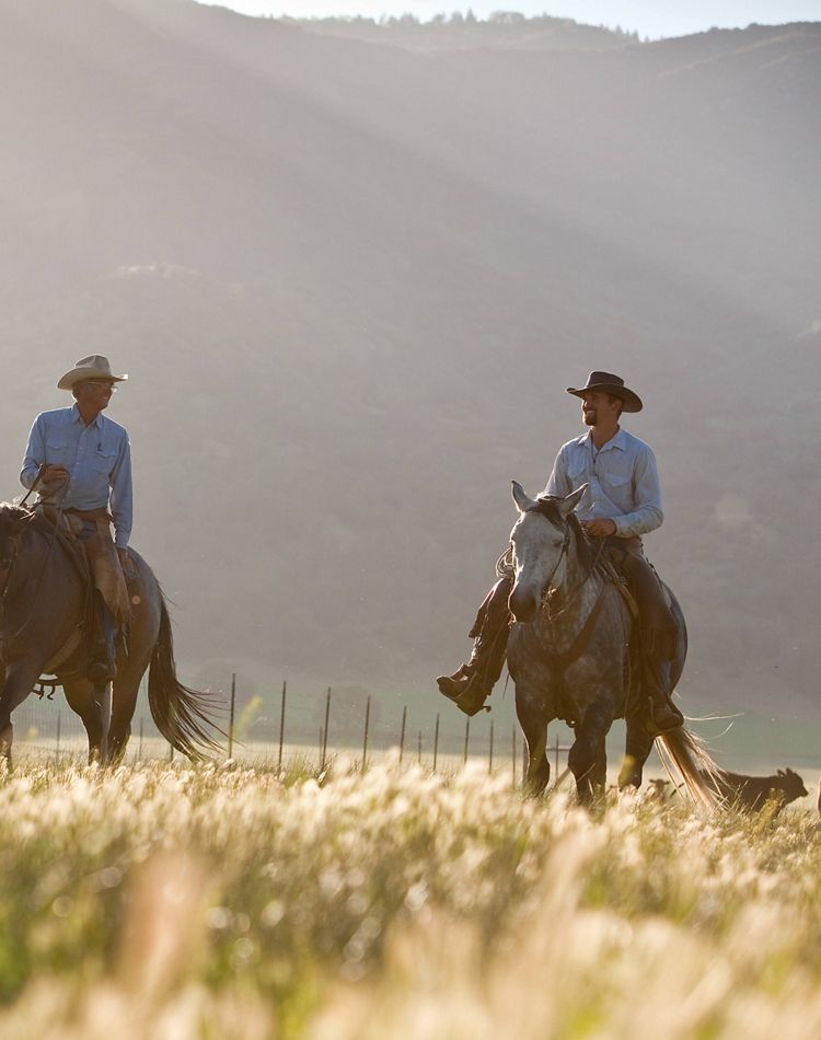 Two cowboys on a ranch