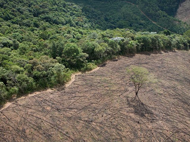 Near Cachoeira Reservoir, Brazil.