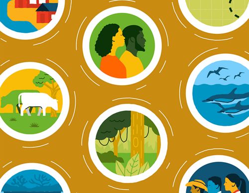 Illustration with circles containing imagery of people, jungle, dolphins, cattle, houses, and mangroves against a mustard yellow background.