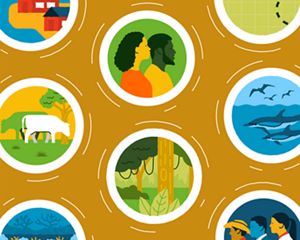 Illustration with circles containing imagery of people, jungle, dolphins, cattle, houses, and mangroves against a mustard yellow background.