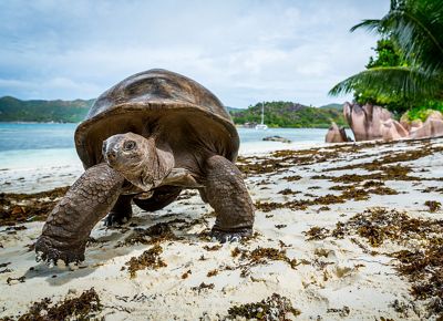 Colorful fishing boats harbored in a turquoise ocean 