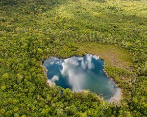 aerial view of tropical forest with a blue water pool reflecting clouds in the sky