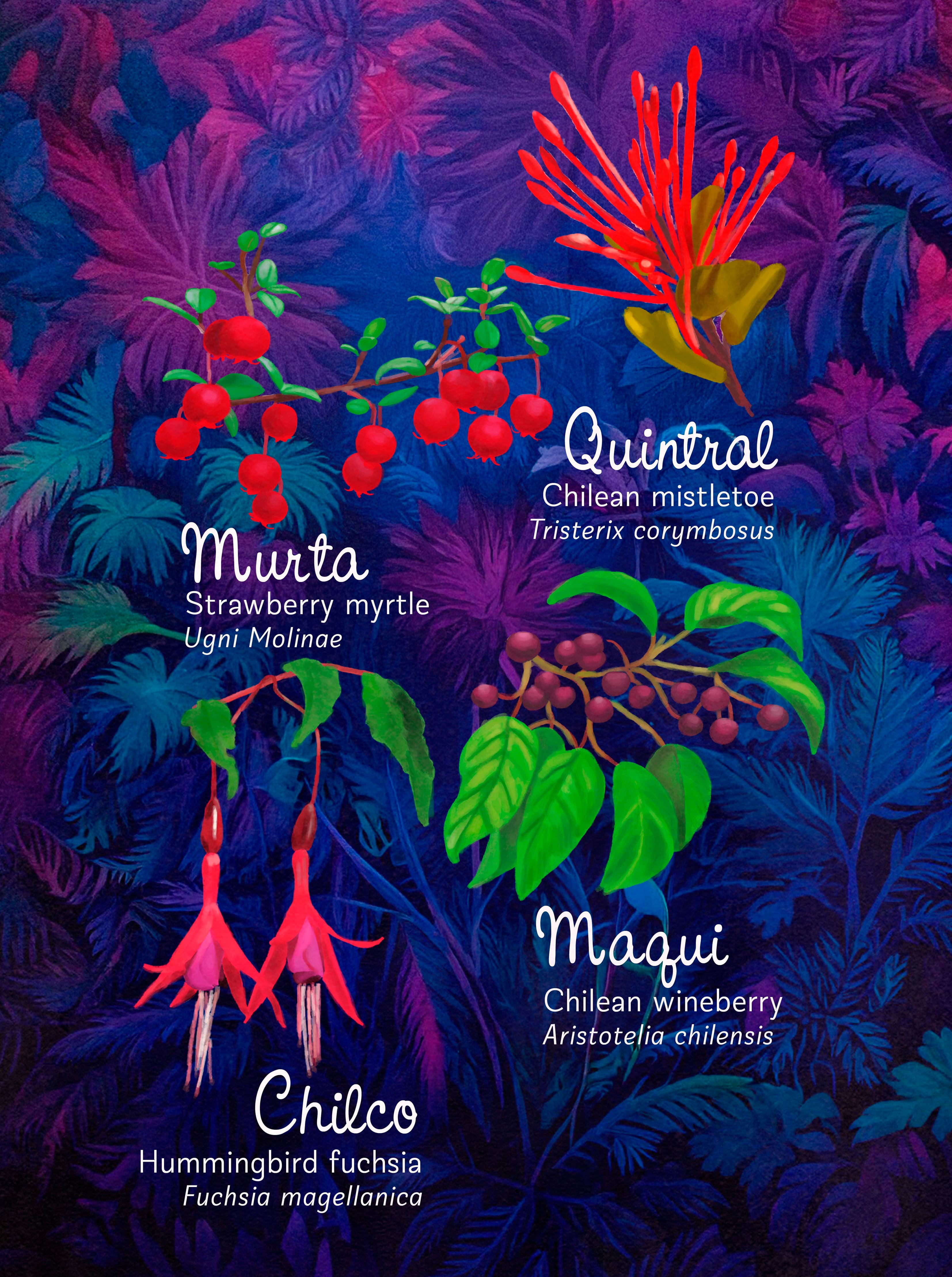 Illustration depicts colorful plants.