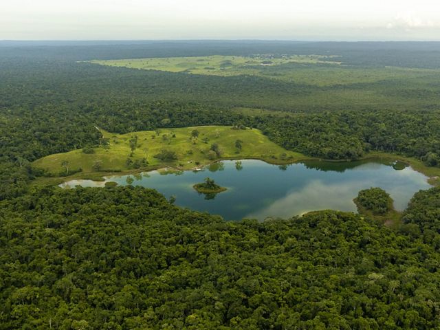 An aerial view of a lake surrounded by lush green forest in Belize Maya Forest.