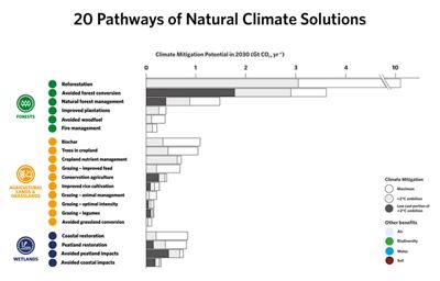 Infographic showing 20 pathways of NCS potential