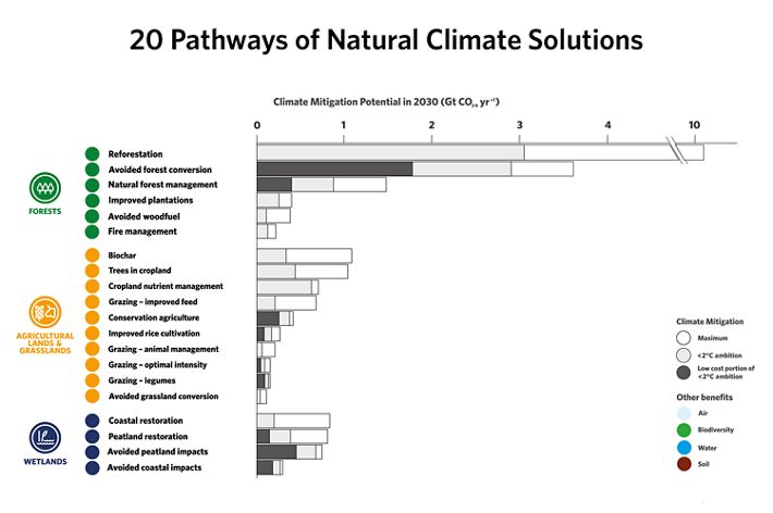 Infographic showing 20 pathways of NCS potential