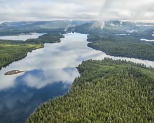 Lush temperate rainforest forms ribbons between bodies of water.